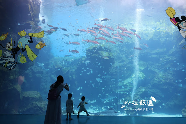 全台最頂級夜宿水族館!桃園和逸Blu Night宿海奇遇》Xpark住一晚 31 全台最頂級夜宿水族館!桃園和逸Blu Night宿海奇遇》Xpark住一晚