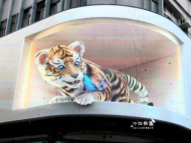 3D萌虎出閘,國慶日當晚台北8個據點,北、中、南通通可以看到 8 3D萌虎出閘,國慶日當晚台北8個據點,北、中、南通通可以看到