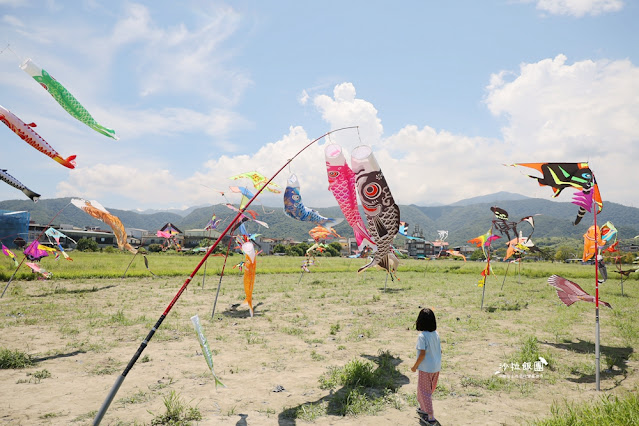 3000株日本波波草超療癒,台版羊角村、大碗公溜滑梯 17 3000株日本波波草超療癒,台版羊角村、大碗公溜滑梯