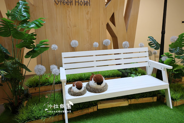 台中逢甲住宿.背包客『葉綠宿旅館』陪睡小盆栽 12 台中逢甲住宿.背包客『葉綠宿旅館』陪睡小盆栽