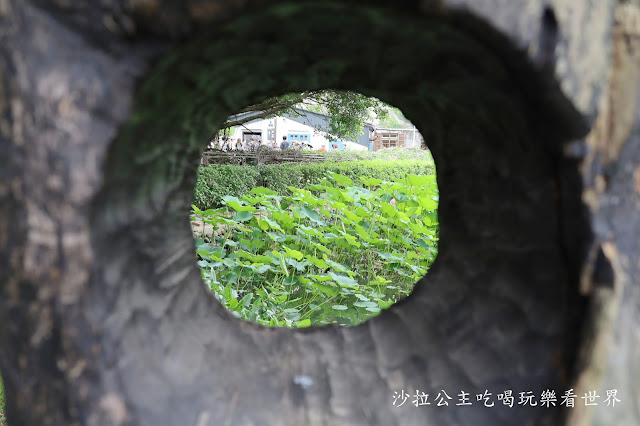 新竹竹北景點免門票『新瓦屋客家文化保存區』文青打卡景點 43 新竹竹北景點免門票『新瓦屋客家文化保存區』文青打卡景點