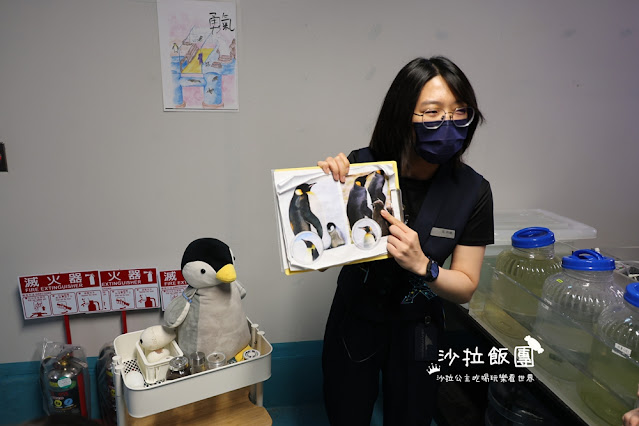 全台最頂級夜宿水族館!桃園和逸Blu Night宿海奇遇》Xpark住一晚 110 全台最頂級夜宿水族館!桃園和逸Blu Night宿海奇遇》Xpark住一晚