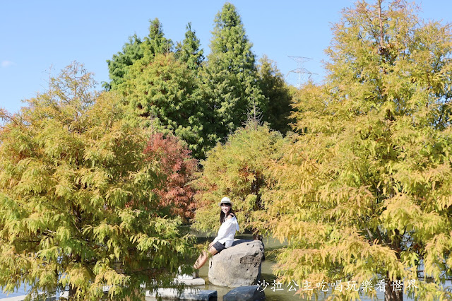 台中落羽松.后里泰安落羽松秘境『羽粼落羽松』裝置藝術像走到畫裡 24 台中落羽松.后里泰安落羽松秘境『羽粼落羽松』裝置藝術像走到畫裡