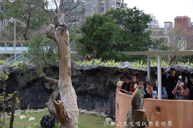 全台最老動物園『新竹動物園』全新打造沒有籠子友善動物園/新竹景點