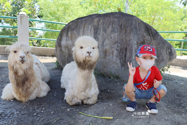 宜蘭住宿親子景點『綠舞國際觀光飯店』一泊二食住房 117 宜蘭住宿親子景點『綠舞國際觀光飯店』一泊二食住房