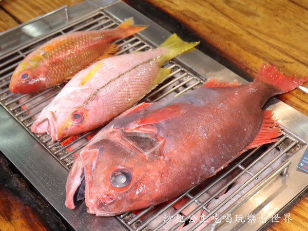 IMG_7248.JPG IMG_7248.JPG