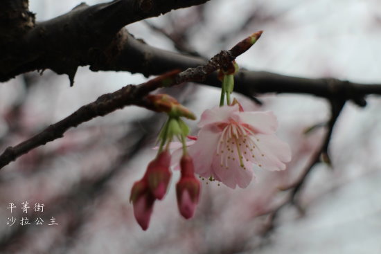 IMG_4032.JPG IMG_4032.JPG