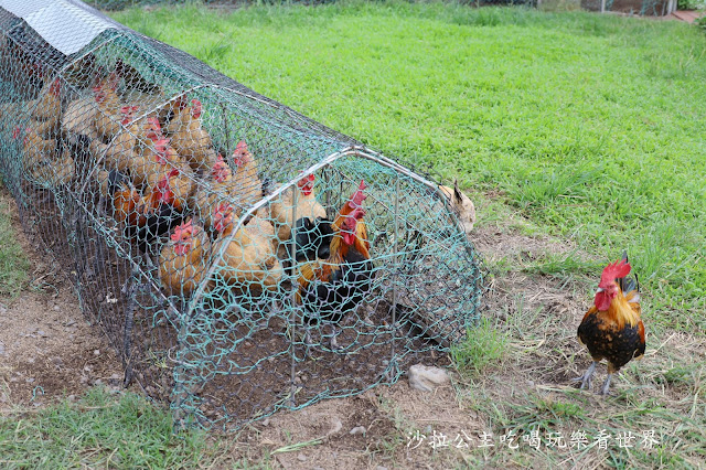 宜蘭員山景點『可達羊場』免門票.百元就可以餵羊.兔子.鴨子.親子景點 27 宜蘭員山景點『可達羊場』免門票.百元就可以餵羊.兔子.鴨子.親子景點
