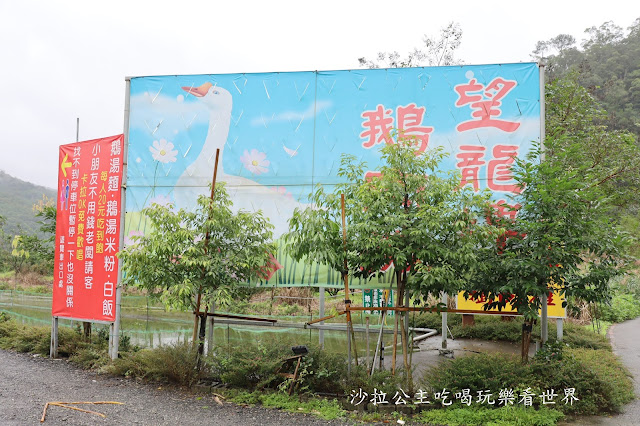 宜蘭員山美食『望龍埤鵝肉攤』20元鵝肉湯麵.米粉.白飯.炒米粉吃到飽/免費停車 2 宜蘭員山美食『望龍埤鵝肉攤』20元鵝肉湯麵.米粉.白飯.炒米粉吃到飽/免費停車