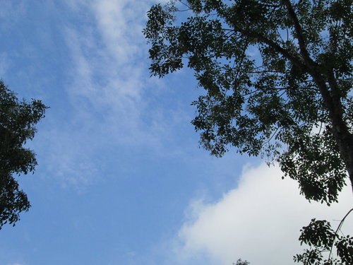 2012芝山風華士林文化節(頒獎) 12 2012芝山風華士林文化節(頒獎)