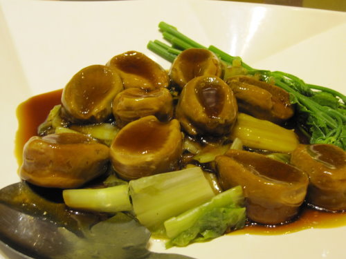 青青時尚花園會館【故宮】 4 青青時尚花園會館【故宮】