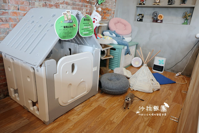 樹林美食『紅磚園邸』水豚、狐獴親子餐廳 12 樹林美食『紅磚園邸』水豚、狐獴親子餐廳