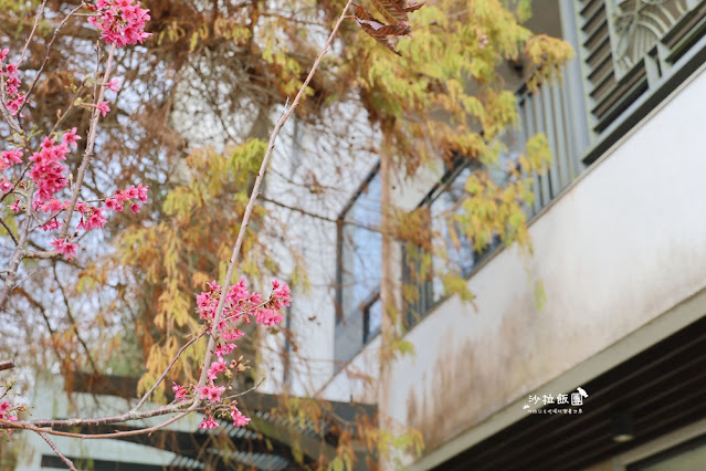 最新星空露營車『自然風情景觀渡假民宿』3000坪超大草坪小孩放電好地方 11 最新星空露營車『自然風情景觀渡假民宿』3000坪超大草坪小孩放電好地方