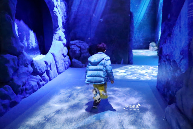 超震撼‼️最強展覽光之影海洋展體驗被海水包圍360°沉浸式光影藝術 19 超震撼‼️最強展覽光之影海洋展體驗被海水包圍360°沉浸式光影藝術