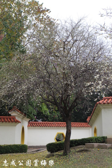 IMG_4163.jpg IMG_4163.jpg