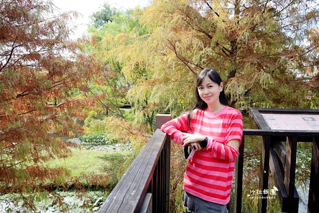 北投奇岩一號公園、落羽松、共融式兒童遊樂場、生態池 21 北投奇岩一號公園、落羽松、共融式兒童遊樂場、生態池