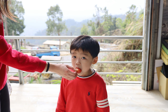 苗栗大湖草莓園推薦『最後一家得草莓園』超大奶油草莓人見人愛 15 苗栗大湖草莓園推薦『最後一家得草莓園』超大奶油草莓人見人愛