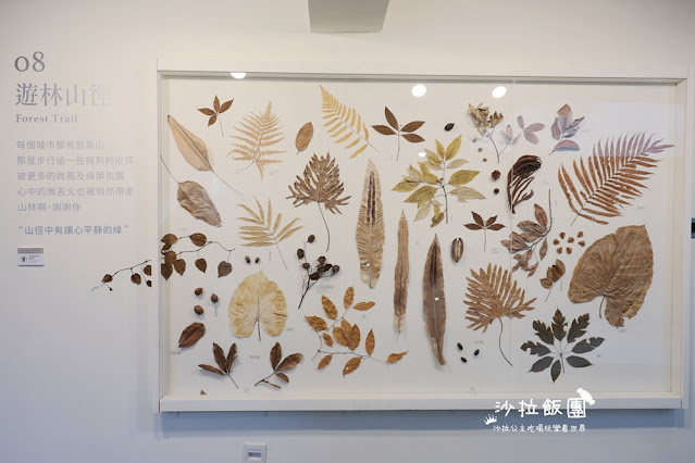 台中逢甲住宿.背包客『葉綠宿旅館』陪睡小盆栽 8 台中逢甲住宿.背包客『葉綠宿旅館』陪睡小盆栽