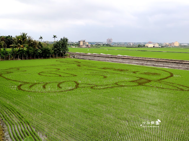 宜蘭版的天空之鏡!七彩小木屋30秒景點,路過順便拍拍 11 宜蘭版的天空之鏡!七彩小木屋30秒景點,路過順便拍拍