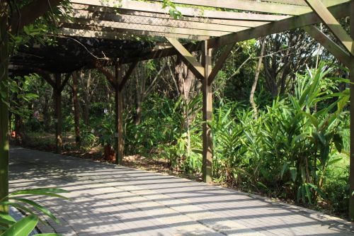 IMG_1178.jpg IMG_1178.jpg