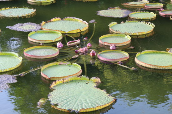 IMG_1244.jpg IMG_1244.jpg