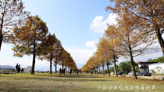 宜蘭三星景點『三星落羽松秘境』安農溪旁/宜蘭落羽松 21 宜蘭三星景點『三星落羽松秘境』安農溪旁/宜蘭落羽松