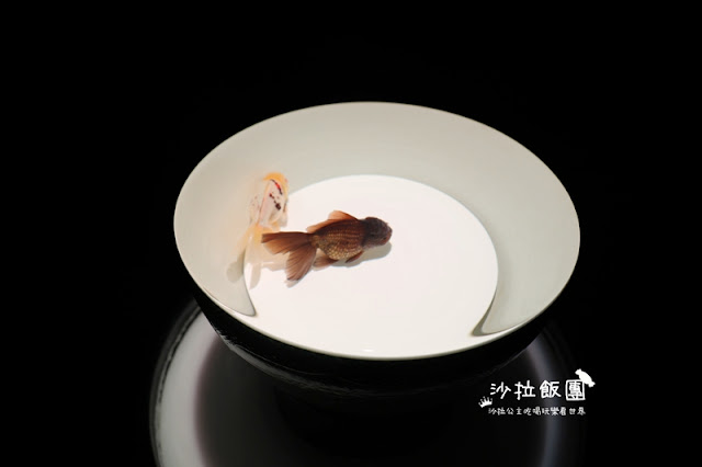 日本東京人氣展覽『金魚藝術展』璀璨登台 2 日本東京人氣展覽『金魚藝術展』璀璨登台