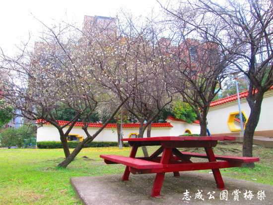 IMG_5686.jpg IMG_5686.jpg