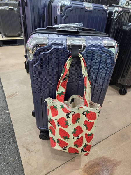 台南善化行李箱特賣會,工廠直營廠拍,最低價990元起,胖胖箱、前開式行李箱,後背包 18 台南善化行李箱特賣會,工廠直營廠拍,最低價990元起,胖胖箱、前開式行李箱,後背包