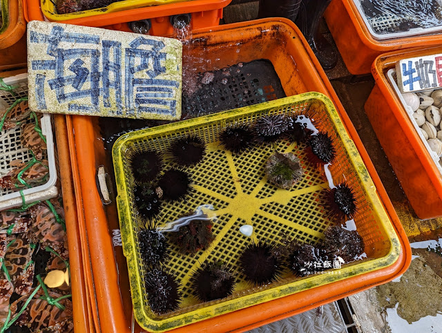 龜吼漁夫市集現剖現吃海膽好鮮甜 10 龜吼漁夫市集現剖現吃海膽好鮮甜