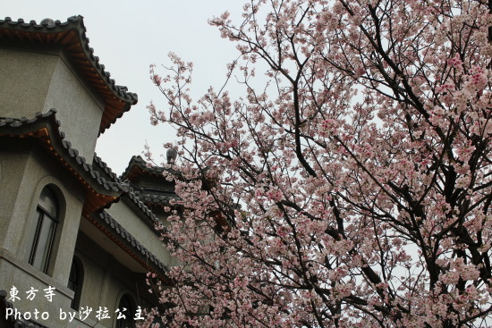 IMG_7039.jpg IMG_7039.jpg