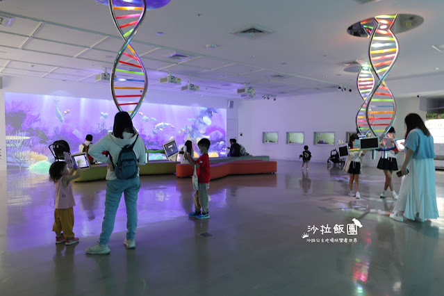 全台最頂級夜宿水族館!桃園和逸Blu Night宿海奇遇》Xpark住一晚 37 全台最頂級夜宿水族館!桃園和逸Blu Night宿海奇遇》Xpark住一晚