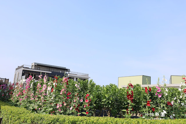 2500坪超狂親子民宿『親水89饗樂民宿』餵浣熊.溜羊.餵魚.餵兔子/大型磨石子溜滑梯/特斯拉充電站/有電梯 54 2500坪超狂親子民宿『親水89饗樂民宿』餵浣熊.溜羊.餵魚.餵兔子/大型磨石子溜滑梯/特斯拉充電站/有電梯