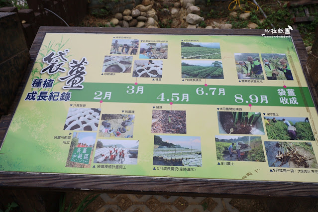 苗栗景點琉璃秋境、大湖薑麻園,帳篷野餐咖啡、窯烤披薩 12 苗栗景點琉璃秋境、大湖薑麻園,帳篷野餐咖啡、窯烤披薩