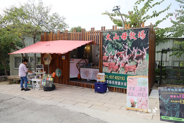 苗栗苑裡景點『綠意山莊』150元拍到翻、哈比村、粉紅城堡、露營、小木屋 62 苗栗苑裡景點『綠意山莊』150元拍到翻、哈比村、粉紅城堡、露營、小木屋