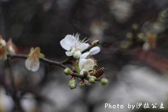 IMG_4167.jpg IMG_4167.jpg