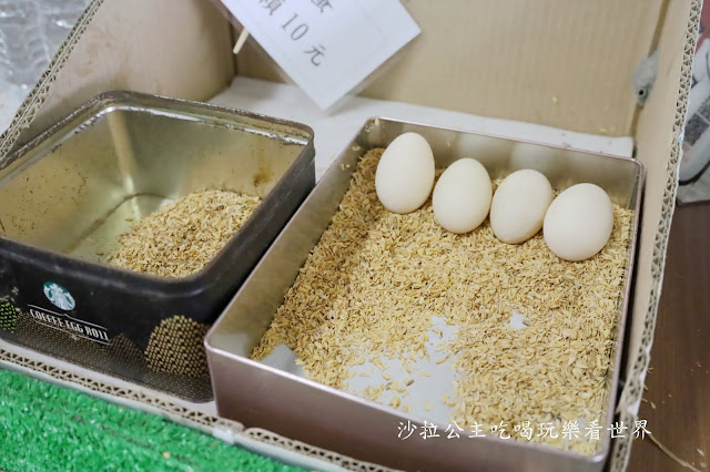 宜蘭員山景點『可達羊場』免門票.百元就可以餵羊.兔子.鴨子.親子景點 14 宜蘭員山景點『可達羊場』免門票.百元就可以餵羊.兔子.鴨子.親子景點