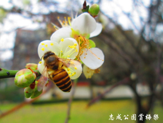 IMG_5689.jpg IMG_5689.jpg