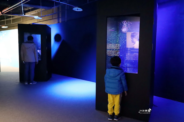 超震撼‼️最強展覽光之影海洋展體驗被海水包圍360°沉浸式光影藝術 31 超震撼‼️最強展覽光之影海洋展體驗被海水包圍360°沉浸式光影藝術