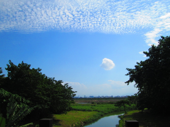 IMG_2646.jpg IMG_2646.jpg