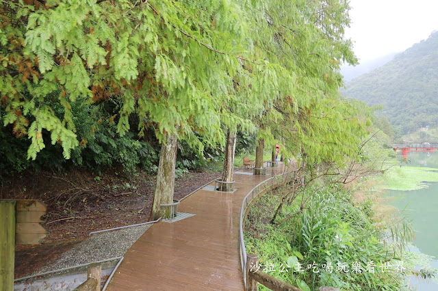 宜蘭員山免費景點『望龍埤』下一站幸福偶像劇拍攝場景花田村.落羽松 4 宜蘭員山免費景點『望龍埤』下一站幸福偶像劇拍攝場景花田村.落羽松