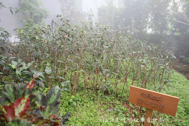 茶飲界精品「吃茶三千」台中絕美飲料店.夏季保養聖品的青檸芬朵西強勢回歸 49 茶飲界精品「吃茶三千」台中絕美飲料店.夏季保養聖品的青檸芬朵西強勢回歸
