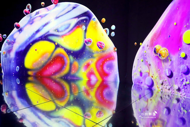 超震撼‼️最強展覽光之影海洋展體驗被海水包圍360°沉浸式光影藝術 10 超震撼‼️最強展覽光之影海洋展體驗被海水包圍360°沉浸式光影藝術