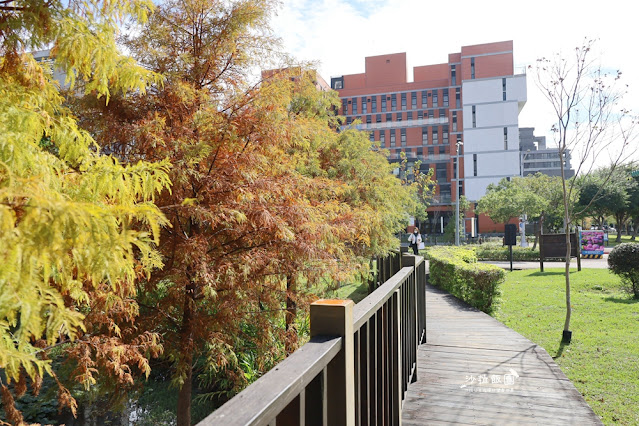 北投奇岩一號公園、落羽松、共融式兒童遊樂場、生態池 5 北投奇岩一號公園、落羽松、共融式兒童遊樂場、生態池