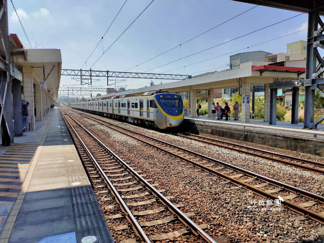 銅鑼杭菊搭火車也可以賞花!!交通指引 7 銅鑼杭菊搭火車也可以賞花!!交通指引