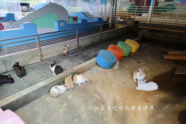 宜蘭礁溪景點『水鹿咖啡親子餐廳』迷你馬.水鹿.沙坑.小火車.賽車場.菜單 38 宜蘭礁溪景點『水鹿咖啡親子餐廳』迷你馬.水鹿.沙坑.小火車.賽車場.菜單