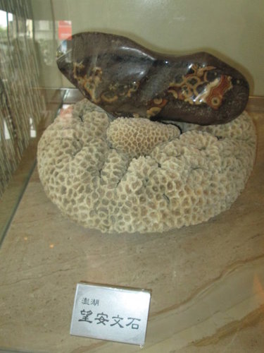 海悅大飯店【澎湖】 11 海悅大飯店【澎湖】