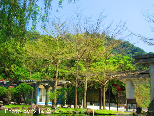 IMG_7073.jpg IMG_7073.jpg