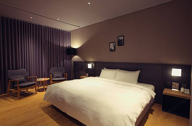 【寵物住宿】寵物友善飯店,毛小孩也要爽爽住 11 【寵物住宿】寵物友善飯店,毛小孩也要爽爽住