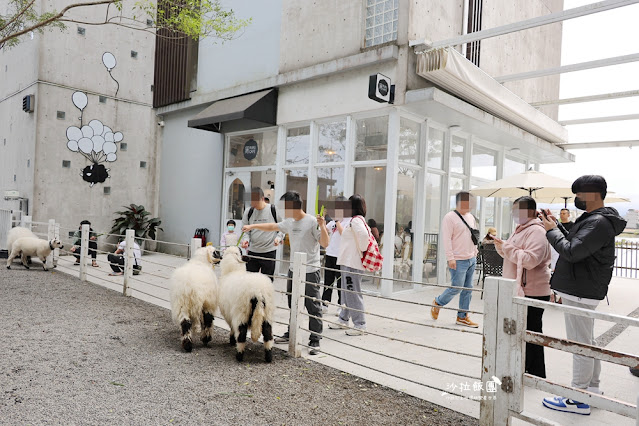 『黑RURU CAFE』最新熊貓羊、笑笑羊互動宜蘭咖啡、宜蘭景點 6 『黑RURU CAFE』最新熊貓羊、笑笑羊互動宜蘭咖啡、宜蘭景點